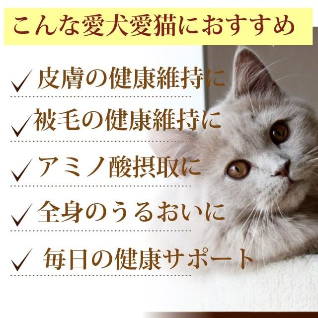 猫用サプリ フィッシュコラーゲン 0g 猫の関節サプリメント Cat T 犬デンタルケア帝塚山ハウンドカム 通販 Yahoo ショッピング