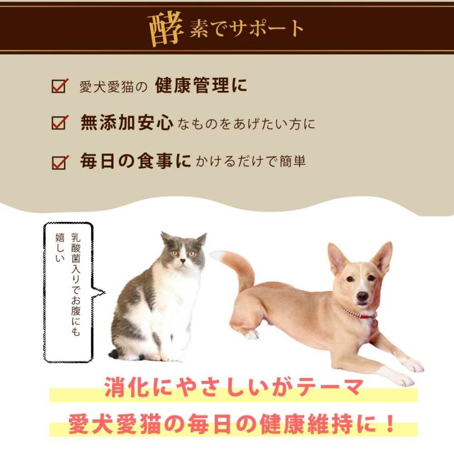 犬猫用 消化酵素100g　エンザイム 100g サプリメント 老猫 子猫も安全｜houndcom｜02