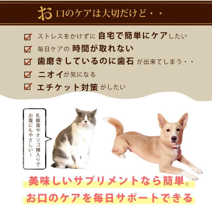格安販売の 猫用 お口ラクラク マウスクリーンpro 100g 口臭 サプリ サプリメント