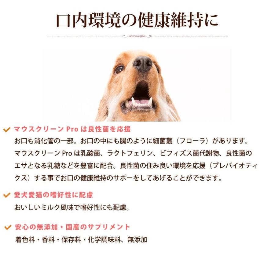 日本最大級の品揃え 猫用 お口ラクラク マウスクリーンpro 100g 口臭