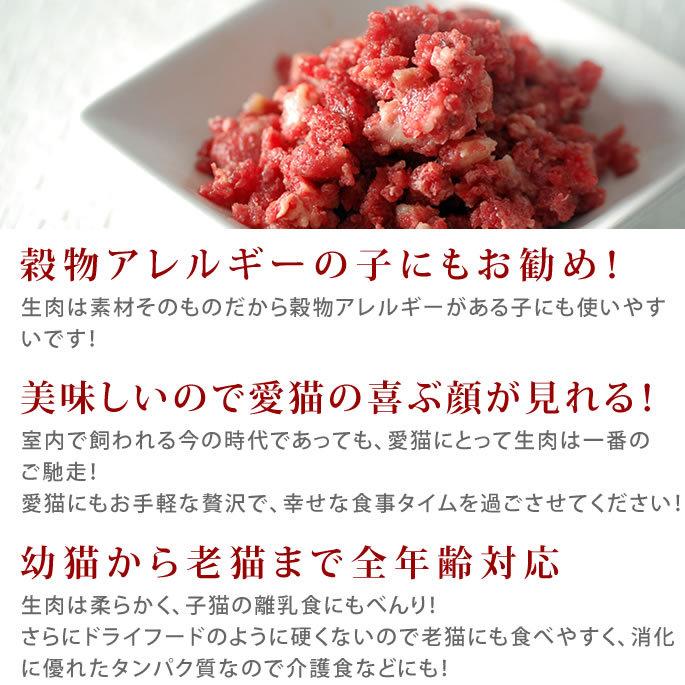 猫用 生肉 馬肉 粗挽き 10kg 500gパック×20＋2 1kgのおまけ付き_4