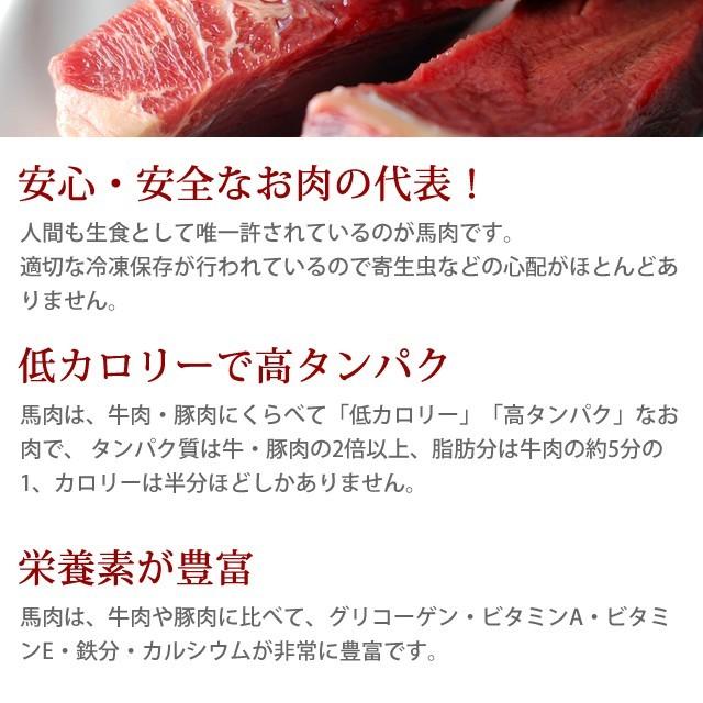 猫用 生肉 冷凍 馬肉 ブロック 10kg 500g×20＋2 　1kgのおまけ付き_2