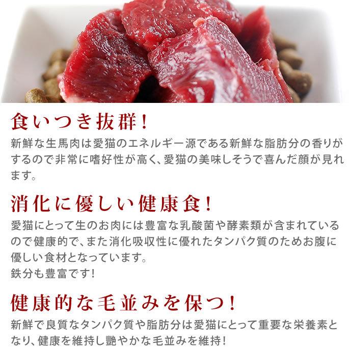 猫用 生肉 冷凍 馬肉 ブロック 10kg 500g×20＋2 　1kgのおまけ付き_3