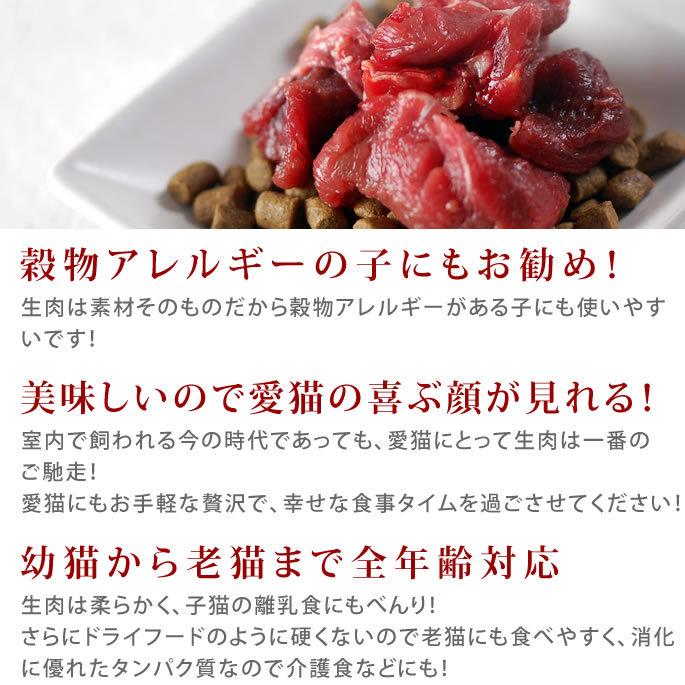 猫用 生肉 冷凍 馬肉 ブロック 10kg 500g×20＋2 　1kgのおまけ付き_4