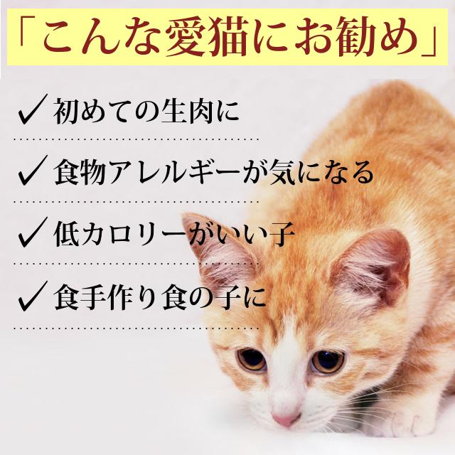 猫用 生肉 冷凍 馬肉 ブロック 10kg 500g×20＋2 　1kgのおまけ付き_5