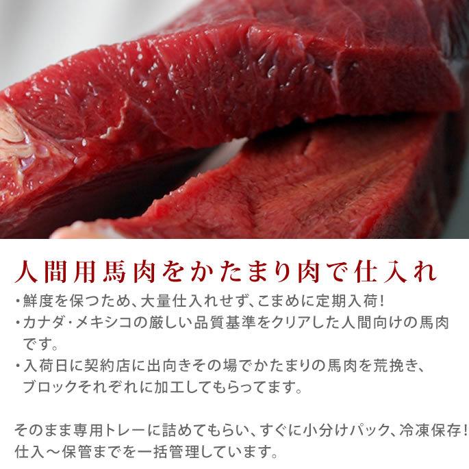 猫用 生肉 冷凍 馬肉 ブロック 10kg 500g×20＋2 　1kgのおまけ付き_6