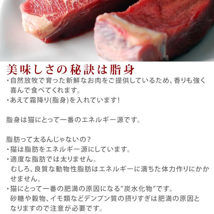 猫用 生肉 冷凍 馬肉 ブロック 10kg 500g×20＋2 　1kgのおまけ付き_7