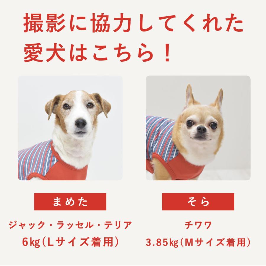 愛犬用 あったかボーダー王冠刺繍Tシャツ 3Lサイズ オレンジ |  | 05
