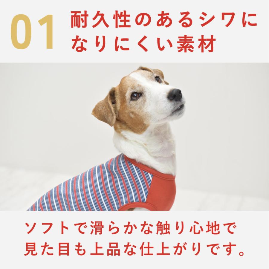 愛犬用 あったかボーダー王冠刺繍Tシャツ Mサイズ オレンジ |  | 01