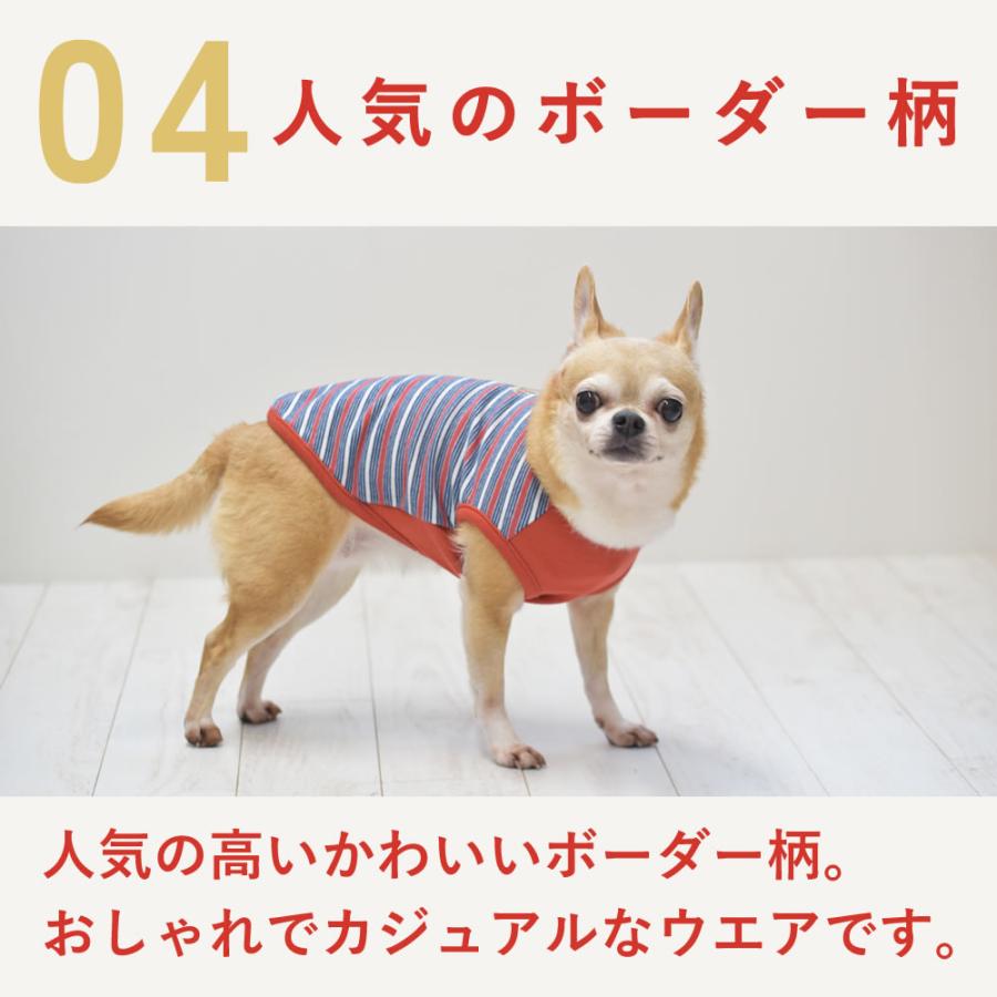 愛犬用 あったかボーダー王冠刺繍Tシャツ Mサイズ オレンジ |  | 04