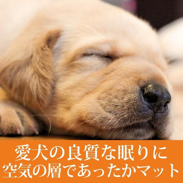 ペットケアマットNEO　Lサイズ 一般用　爽快潔リビング｜houndcom｜02