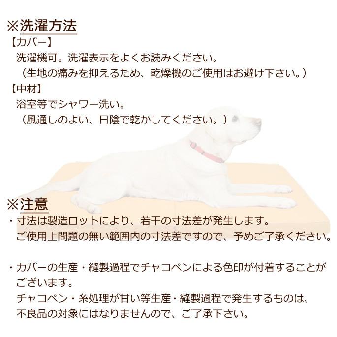 介護用 ペットケアマットNEO Lサイズ シニア犬 爽快潔リビング 老犬用