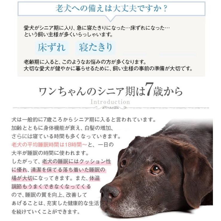 介護用 ペットケアマットNEO Lサイズ シニア犬 爽快潔リビング 老犬用