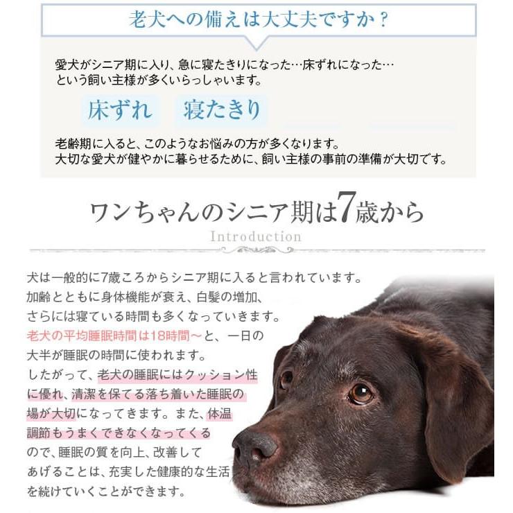 介護用　ペットケアマットNEO　Sサイズ シニア犬　爽快潔リビング　老犬用ベッド｜houndcom｜03