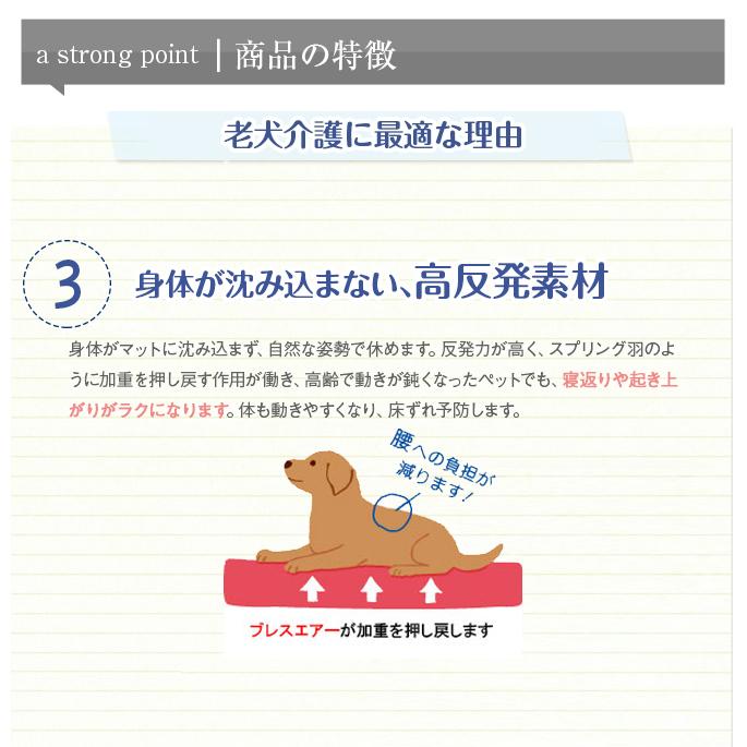 介護用 ペットケアマットneo Sサイズ シニア犬 爽快潔リビング 老犬用ベッド Cm 000m 犬手作りごはん帝塚山ハウンドカム 通販 Yahoo ショッピング