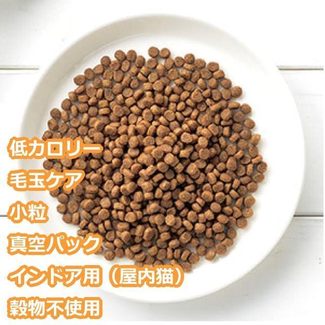 超大特価 カントリーロード フィーラインコンフォートポータブル100g 猫用 キャットフード ドライフード お試し Cat ねこ ネコ 餌 Shipsctc Org