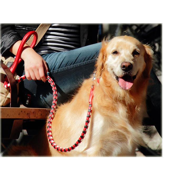 ASHU 犬 リード 革 レザー ASHU*ピッチ リード サイズ L 中型犬〜大型