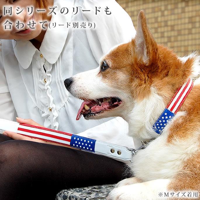 ASHU 犬 首輪 革 レザー ワールドカラーMサイズ 小型犬 : 安心おやつ