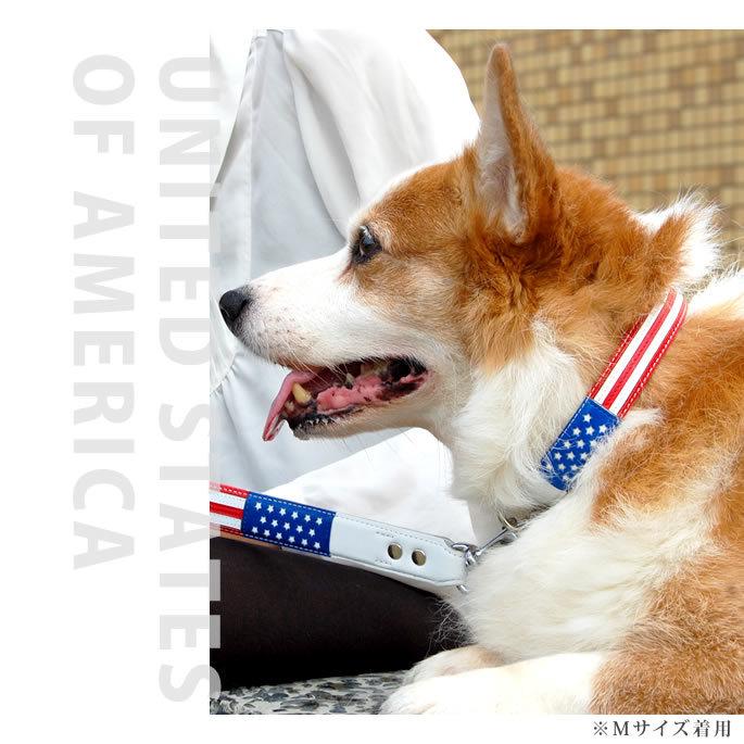 ASHU 犬 首輪 革 レザー ワールドカラーMサイズ 小型犬 : 安心おやつ