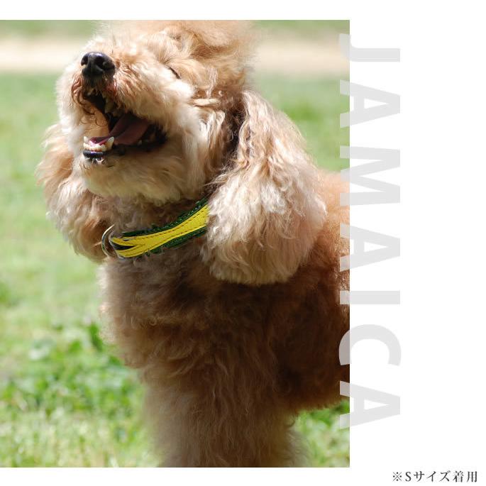 ASHU 犬 首輪 革 レザー ワールドカラーMサイズ 小型犬 : 安心おやつ