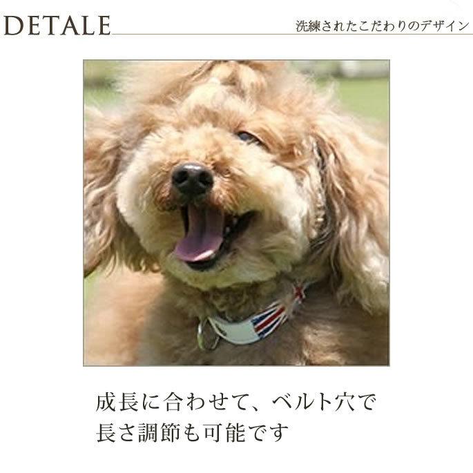 ASHU 犬 首輪 革 レザー ワールドカラーMサイズ 小型犬 : 安心おやつ
