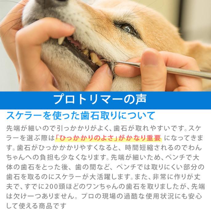 スケーラー ステンレス ペット 動物 歯間ブラシ 歯石取り 予防歯科 歯石除去
