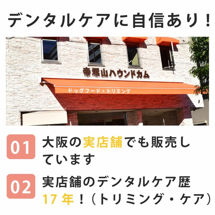 帝塚山ハウンドカム 愛犬・愛猫用歯石取りペンチとスケーラーセット