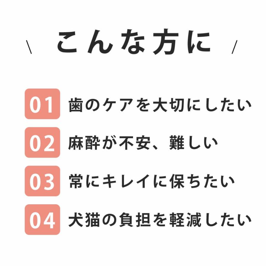 帝塚山ハウンドカム 愛犬・愛猫用歯石取りペンチとスケーラーセット