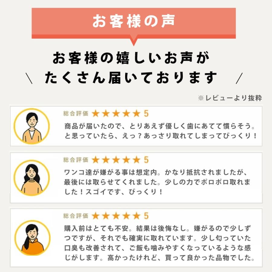 帝塚山ハウンドカム 愛犬・愛猫用歯石取りペンチとスケーラーセット