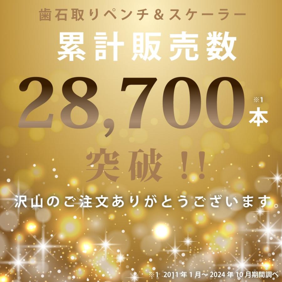 帝塚山ハウンドカム 愛犬・愛猫用歯石取りペンチとスケーラーセット