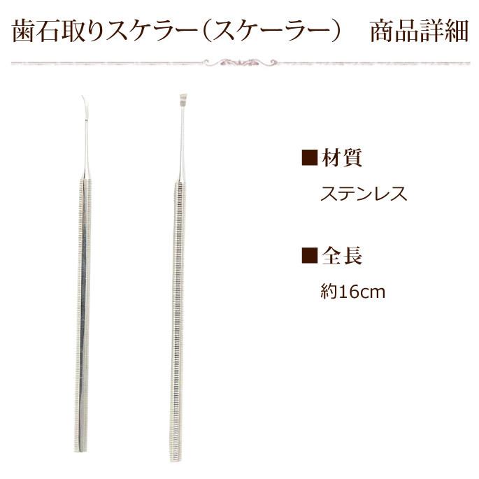 帝塚山ハウンドカム 犬 デンタル 愛犬 猫 用スケーラー : 安心おやつ