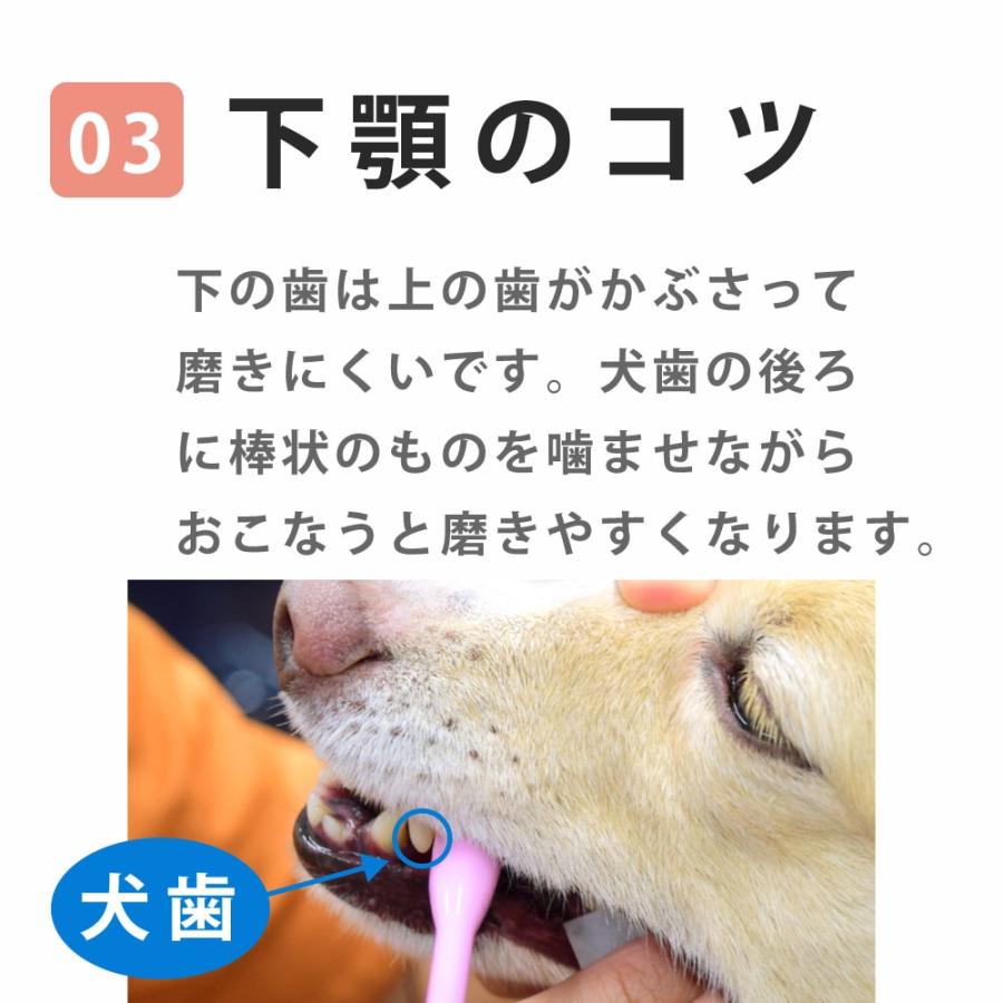 犬 デンタル 歯磨きシート ワンコ歯石トルン : 安心おやつ