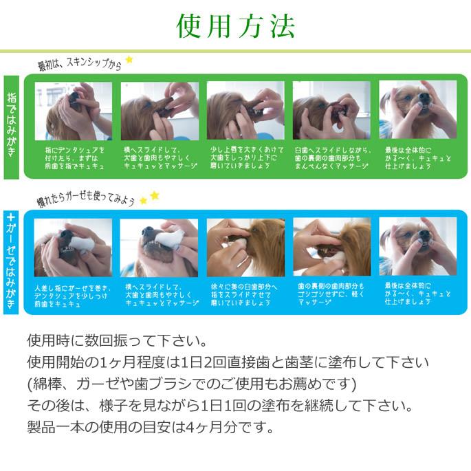 犬 デンタシュア スプレータイプ 歯磨き粉 Dent 0055s 犬手作りごはん帝塚山ハウンドカム 通販 Yahoo ショッピング