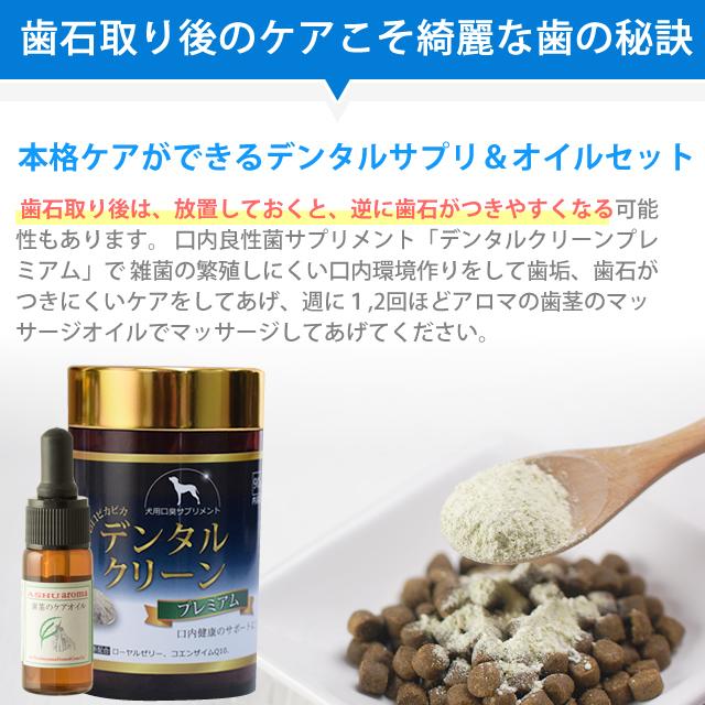 犬用デンタルケア 帝塚山ハウンドカム　歯石取りセット　使用品＋未使用 愛犬用 デンタルケア5点プレミアムセット : 安心おやつ歯みがき帝塚山