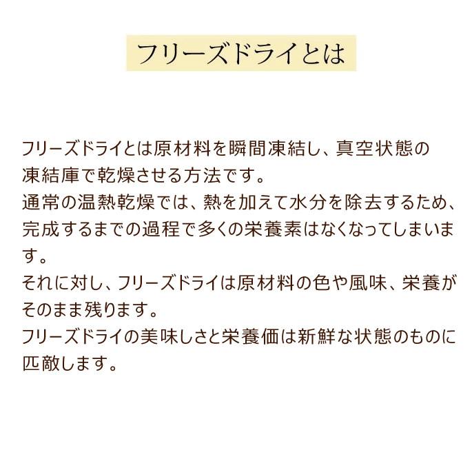 犬 ドットわんリンゴ7ミニ 6g 無添加フリーズドライ・国産自然食ドッグフード 手作り食・トッピング おやつ | ドットわん | 02