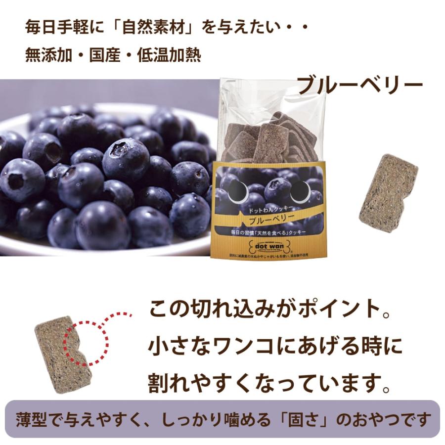 ドットわん フルーツクッキー ブルーベリー 50g 犬 手作り食 トッピング おやつ | ドットわん | 01