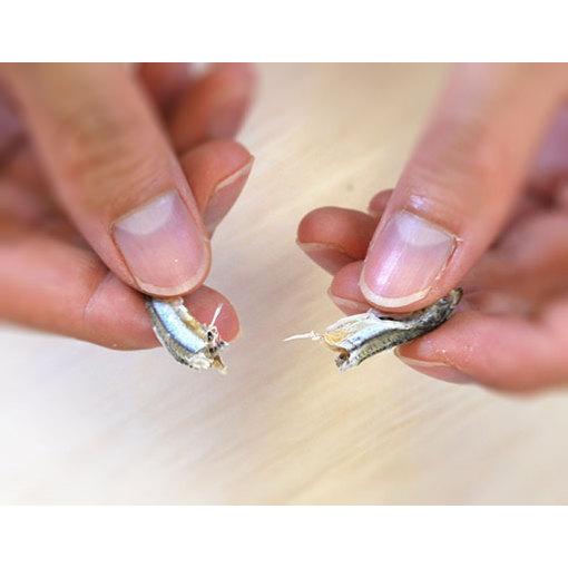 ドットわん 幻の干しイワシ　30g 犬用おやつ　国産無添加　魚のおやつ　塩を使わない干しいわし | ドットわん | 08