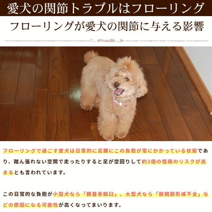 タイルカーペット おくだけ撥水吸着タイルマット大判 60×45cm １枚入り 吸着マット フローリング 保護 マット 犬 洗える |  | 06