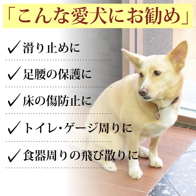 はってはがせるフロアマット 45×60cm 同色12枚セット マット カーペット 防炎 防水 消臭加工 ズレにくい :fo-00041:犬手作りごはん帝塚山ハウンドカム - 通販 - Yahoo!ショッピング はってはがせるフロアマット 45×60cm 同色12枚セット マット カーペット 防炎 防水 消臭加工 ズレにくい :fo-00041:犬手作りごはん帝塚山ハウンドカム - 通販 - Yahoo!ショッピング