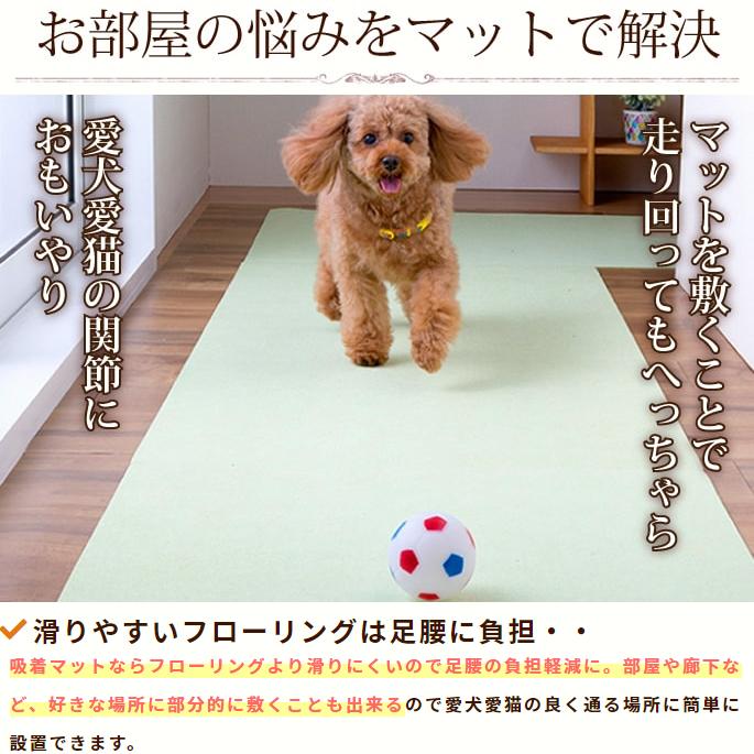 大特価放出！ 犬手作りごはん帝塚山ハウンドカム吸着おそうじラクラク