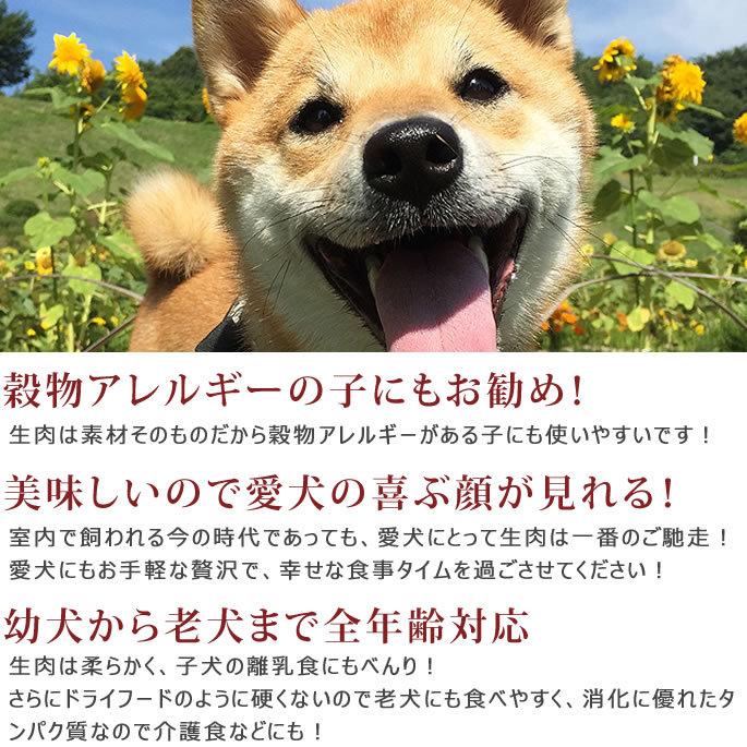犬用猫用 エゾ鹿の生肉 スープセット エゾ鹿ミンチ1kgとスープ100g 5袋 冷凍 生肉 Foodset18 犬手作りごはん帝塚山ハウンドカム 通販 Yahoo ショッピング
