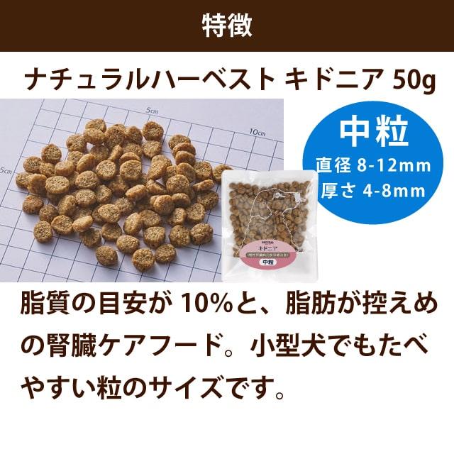FORZA10（フォルツァディエチ） 犬 ドッグフード 療法食 腎不全 腎臓