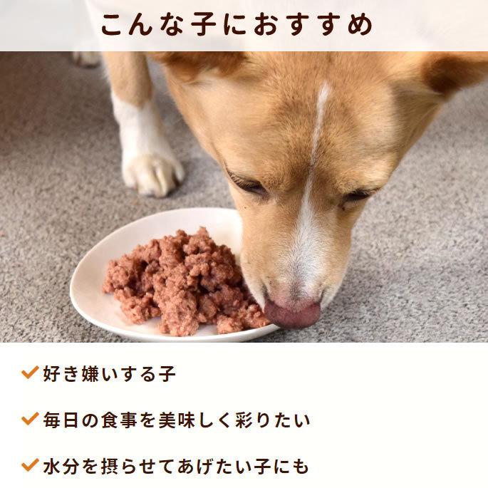 Piece（ピース）とハロードッグレトルト10の味セット バラエティセット 愛犬用 レトルトパウチ ウェットフード ドックフード 防災 備蓄 保存食 | 帝塚山ハウンドカム | 04
