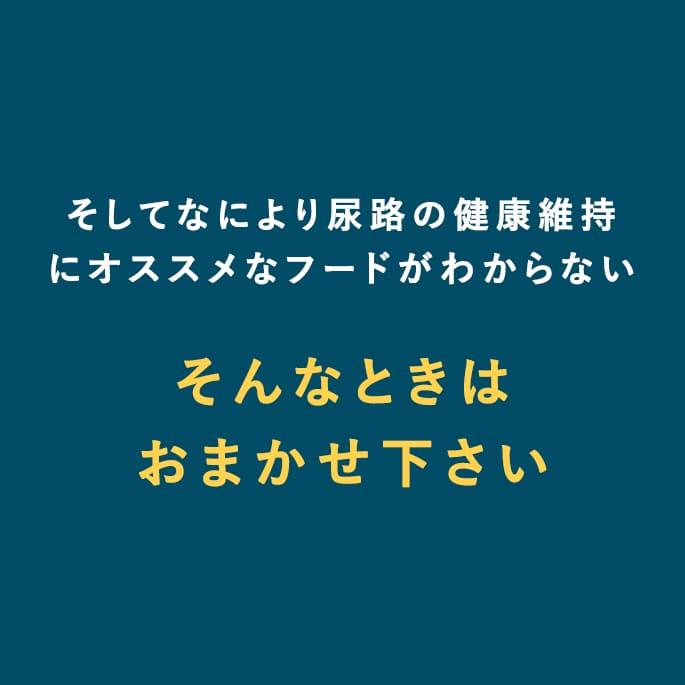愛犬用　ストルバイト結石用療法食　お試しドライフード小袋セット　ナチュラルハーベスト　フラックス　ハッピードッグ　VETストルバイト |  | 05