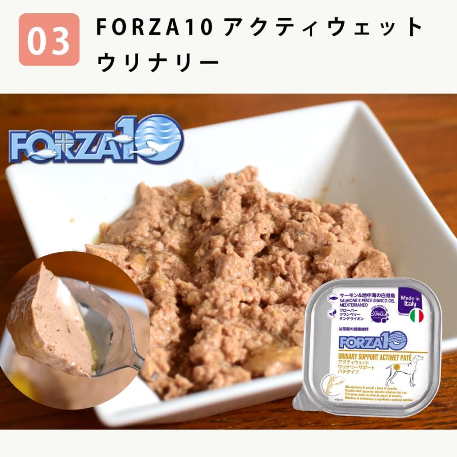 愛犬用　ストルバイト結石用療法食　お試しウェットフードセット 成犬　フラックス　ハッピードッグ　VETストルバイト　結石ケア用　テラカニス　FORZA10 |  | 12