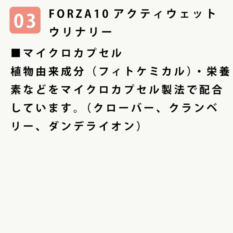 愛犬用　ストルバイト結石用療法食　お試しウェットフードセット 成犬　フラックス　ハッピードッグ　VETストルバイト　結石ケア用　テラカニス　FORZA10 |  | 14