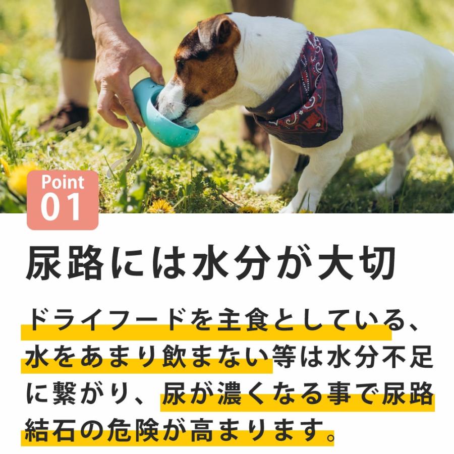 愛犬用　ストルバイト結石用療法食　お試しウェットフードセット 成犬　フラックス　ハッピードッグ　VETストルバイト　結石ケア用　テラカニス　FORZA10 |  | 03