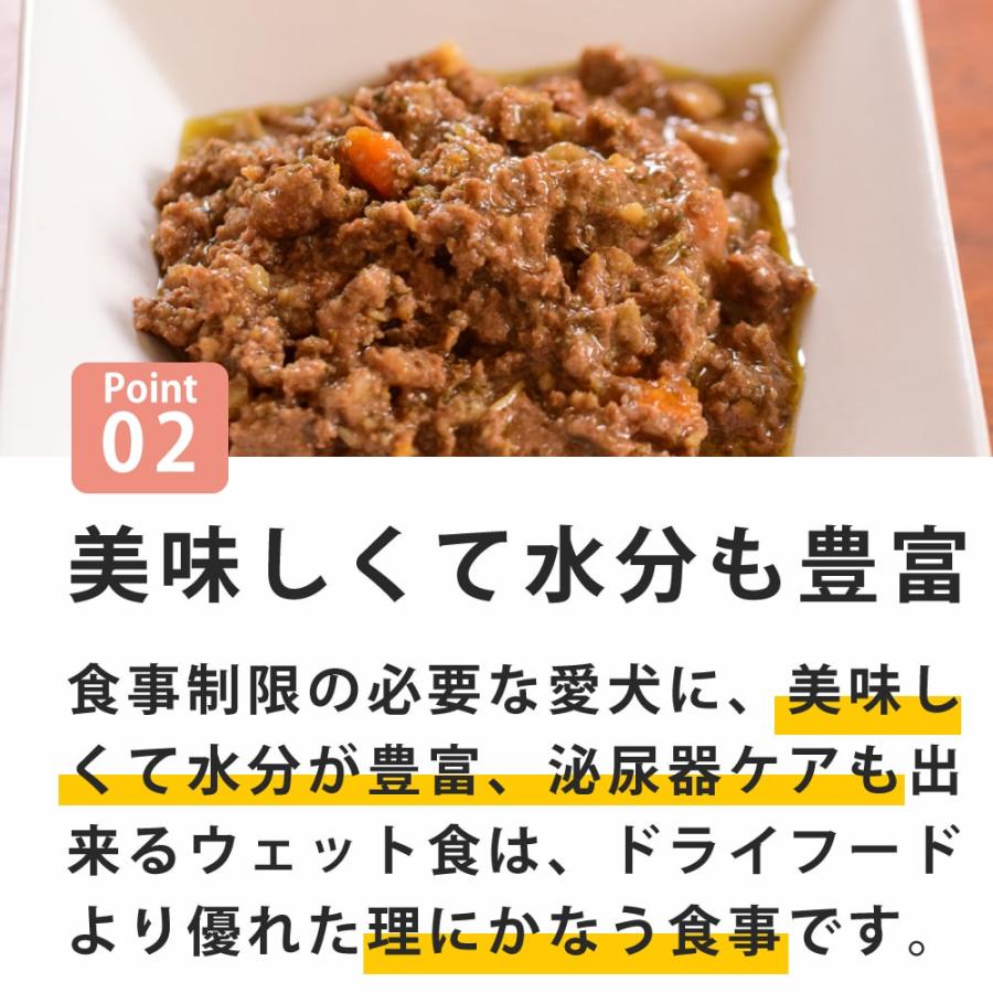 愛犬用　ストルバイト結石用療法食　お試しウェットフードセット 成犬　フラックス　ハッピードッグ　VETストルバイト　結石ケア用　テラカニス　FORZA10 |  | 04