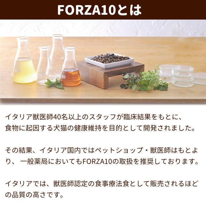 FORZA10 食事療法食 オトアクティブ 耳ケア 10kg フォルツァディエチ ドッグフード　お取り寄せ｜houndcom｜05