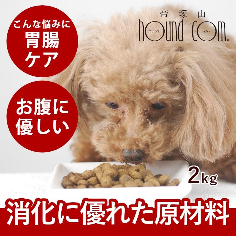 FORZA10 食事療法食 インテスティナルアクティブ 胃腸ケア 2kg フォルツァディエチ ドッグフード | FORZA10